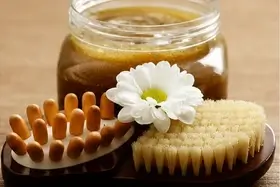 spa scrub brushes